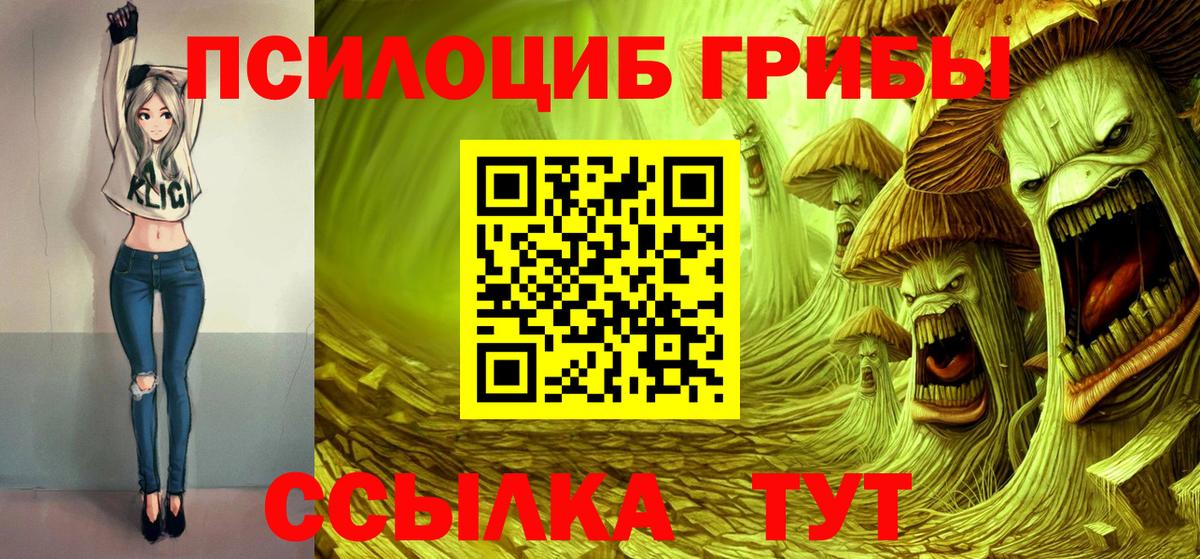 Боровичи  Псилоцибиновые грибы Cubensis  Псилоцибиновые грибы MAGIC MUSHROOMS  Вход с VPN 