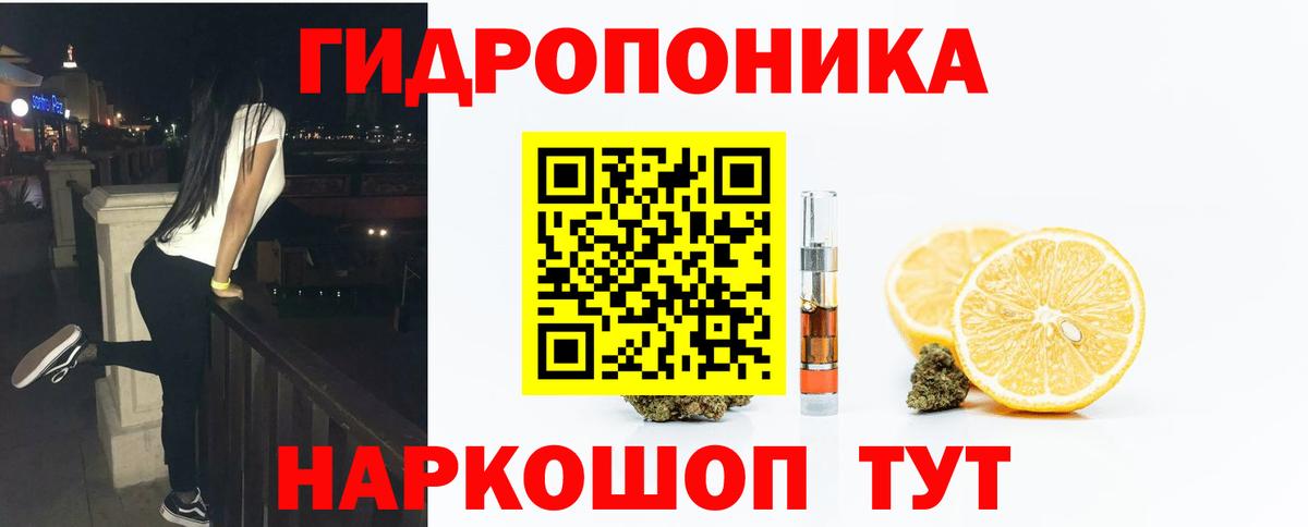 Боровичи  Бошки Шишки Amnesia  Вход с VPN  Конопля ГИДРОПОН  Бошки Шишки конопля 